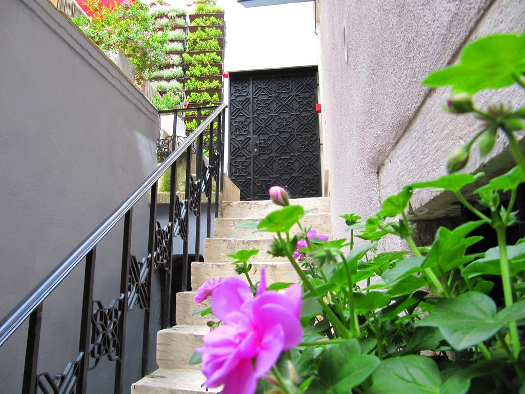 Borelli Palace & Borelli Blue Apartment Zadar